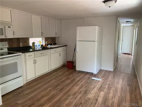 1101 E Crosby Ct, Hernando, FL 34442 photo 4