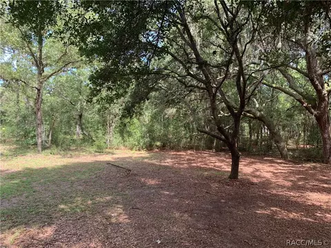 1101 E Crosby Ct, Hernando, FL 34442 photo 14