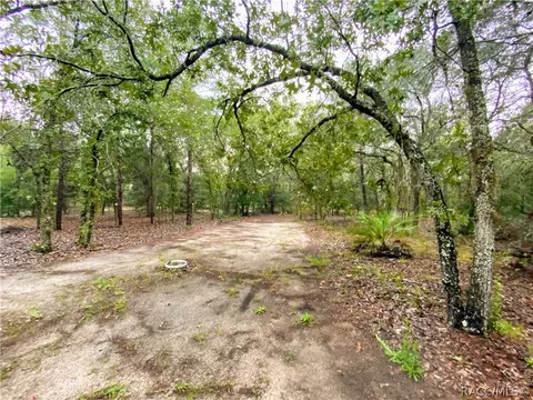 3284 N Eisenhower Ave, Hernando, FL 34442 photo 33