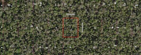 10770 W Brocade St, Homosassa, FL 34448