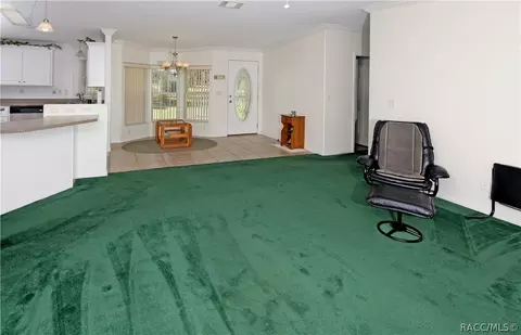 1507 E Ray St, Hernando, FL 34442 photo 7