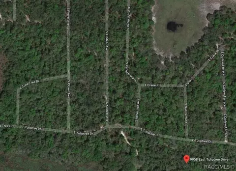 9958 E Tulip Tree Dr, Inverness, FL 34450 photo 1