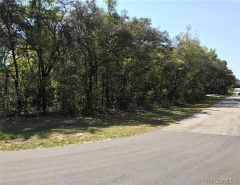 156 W Albany Ln, Hernando, FL 34442 photo 2