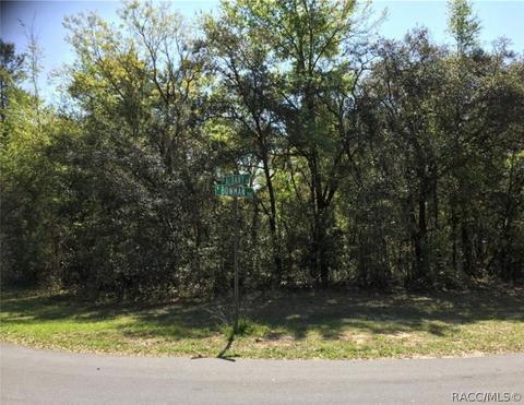 156 W Albany Ln, Hernando, FL 34442 photo 1