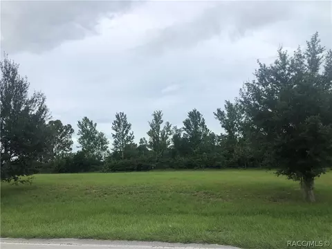 1761 N Annapolis Ave, Hernando, FL 34442 photo 1