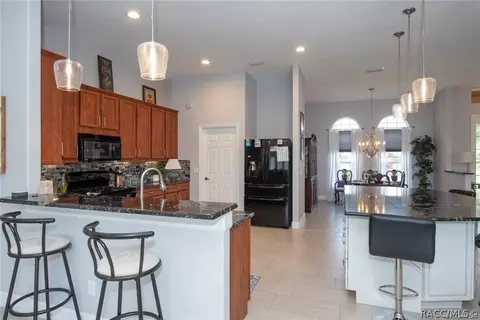 1933 N Eagle Chase Dr, Hernando, FL 34442 photo 12