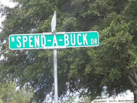 1342 N Spend A Buck Dr, Hernando, FL 34442 photo 3