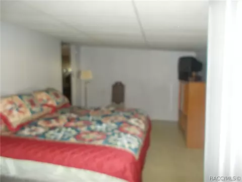 3820 Eagle Trl, Hernando, FL 34442 photo 11