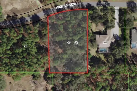 766 E Whitecloud Ln, Hernando, FL 34442 photo 2