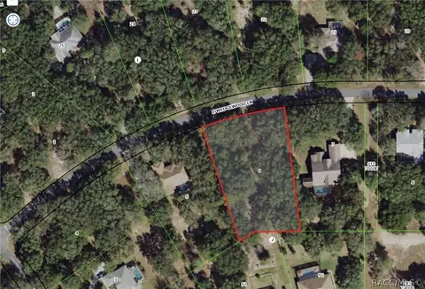 1466 E Wedgewood Ln, Hernando, FL 34442 photo 2