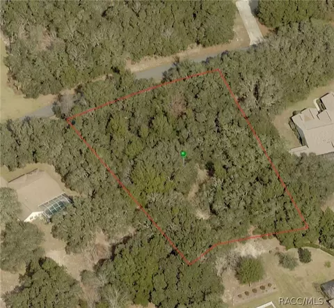 1466 E Wedgewood Ln, Hernando, FL 34442 photo 1