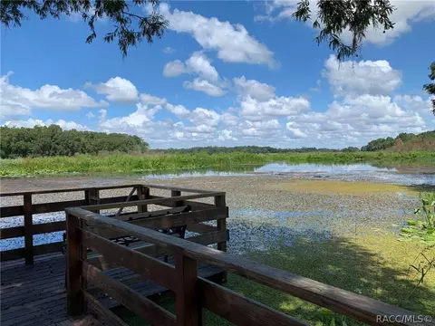 6591 E Zero Ln, Inverness, FL 34453 photo 7