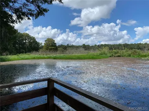 6591 E Zero Ln, Inverness, FL 34453 photo 10