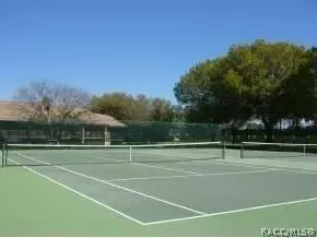 195 E Hartford St #2B, Hernando, FL 34442 photo 43