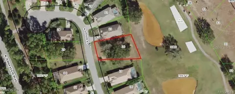 1995 N Gibson Pt, Hernando, FL 34442 photo 1