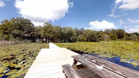2641 N Perfect Pt, Hernando, FL 34442 photo 47