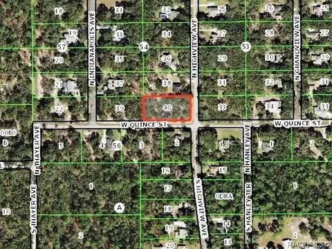 30 N Highview Ave, Hernando, FL 34442 photo 4