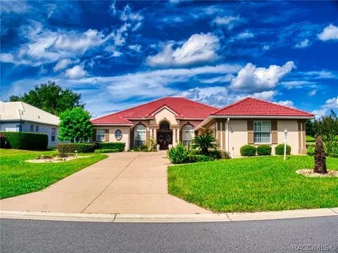 359 W Mickey Mantle Path, Hernando, FL 34442 photo 1
