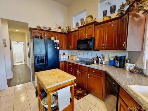 359 W Mickey Mantle Path, Hernando, FL 34442 photo 17
