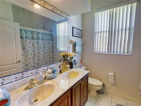 359 W Mickey Mantle Path, Hernando, FL 34442 photo 12