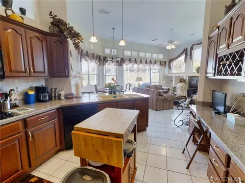359 W Mickey Mantle Path, Hernando, FL 34442 photo 14