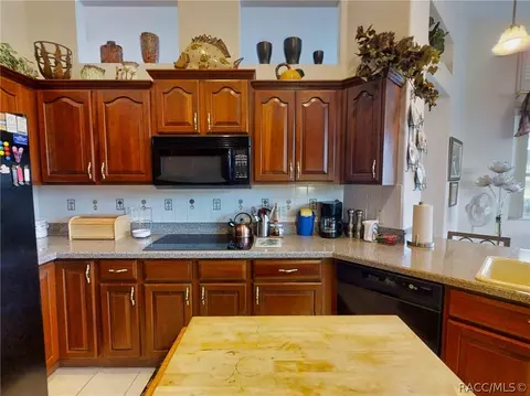 359 W Mickey Mantle Path, Hernando, FL 34442 photo 18