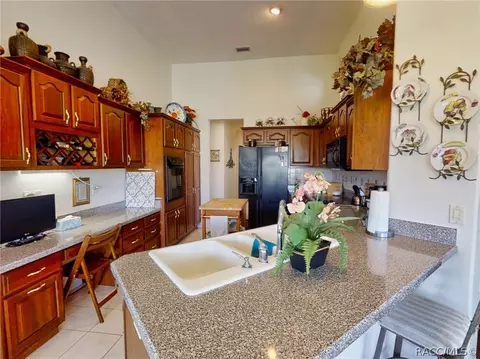 359 W Mickey Mantle Path, Hernando, FL 34442 photo 25