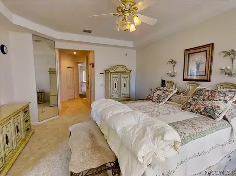 359 W Mickey Mantle Path, Hernando, FL 34442 photo 36