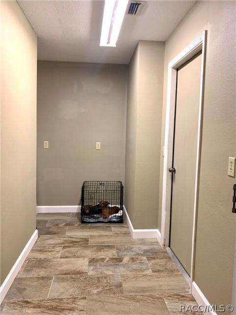 290 E Knightsbridge Pl, Lecanto, FL 34461 photo 20