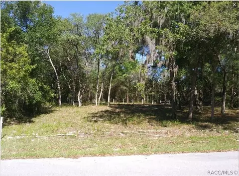 6593 N Flower Ter, Hernando, FL 34442 photo 3