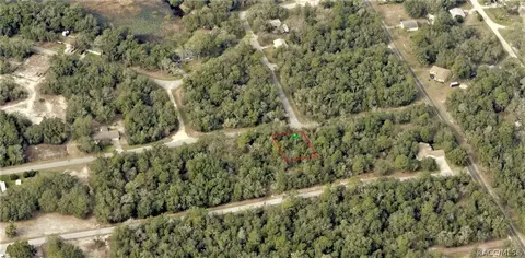 6593 N Flower Ter, Hernando, FL 34442 photo 4