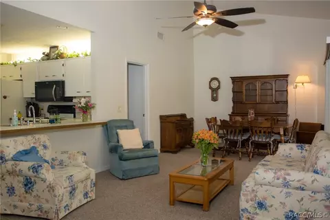 646 W Diamondbird Loop, Hernando, FL 34442 photo 20