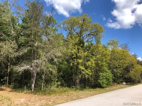 689 E Jenkins Ct, Hernando, FL 34442 photo 14
