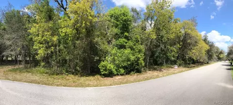 689 E Jenkins Ct, Hernando, FL 34442 photo 5