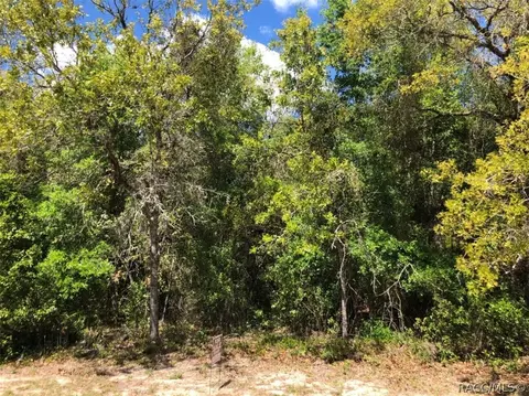 689 E Jenkins Ct, Hernando, FL 34442 photo 12