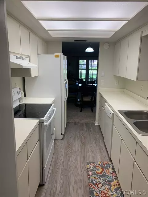 110 E Glassboro Ct #1A, Hernando, FL 34442 photo 4