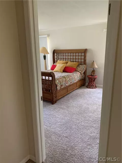 110 E Glassboro Ct #1A, Hernando, FL 34442 photo 11