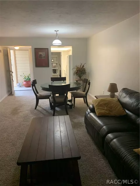 110 E Glassboro Ct #1A, Hernando, FL 34442 photo 24