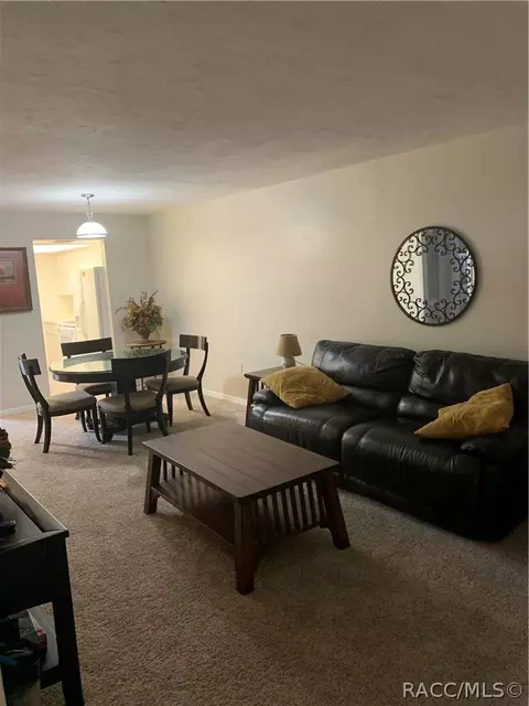 110 E Glassboro Ct #1A, Hernando, FL 34442 photo 15