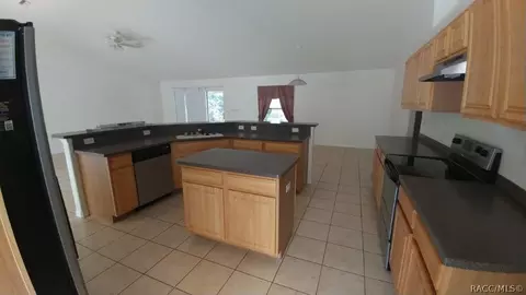 1213 E Cleveland St, Hernando, FL 34442 photo 4
