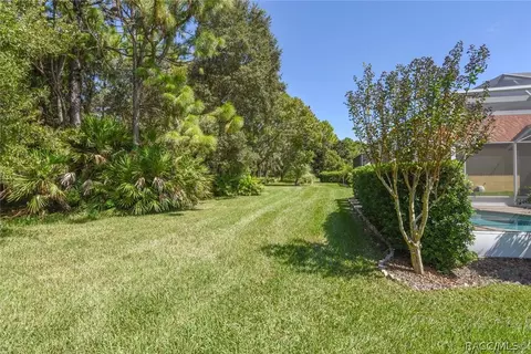 1281 W Diamond Shore Loop, Hernando, FL 34442 photo 4