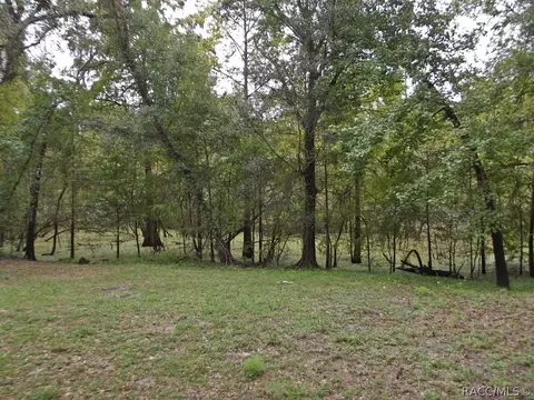 8471 Stone Dr, Webster, FL 33597 photo 24