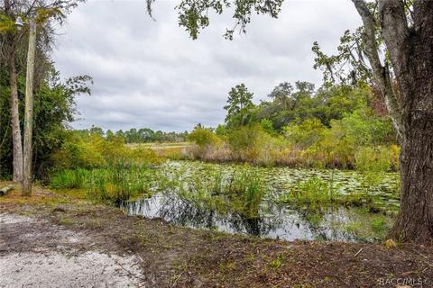 6875 N Castlebury Rd, Hernando, FL 34442 photo 44