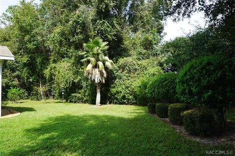 2893 N Folkestone Loop, Hernando, FL 34442 photo 37