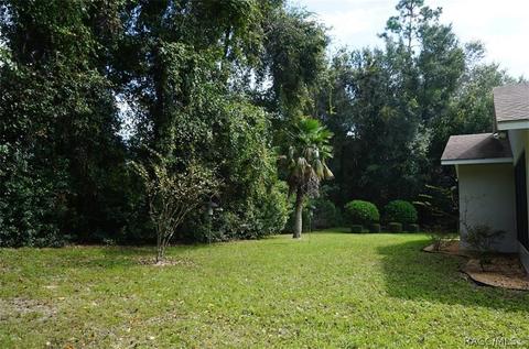 2893 N Folkestone Loop, Hernando, FL 34442 photo 36