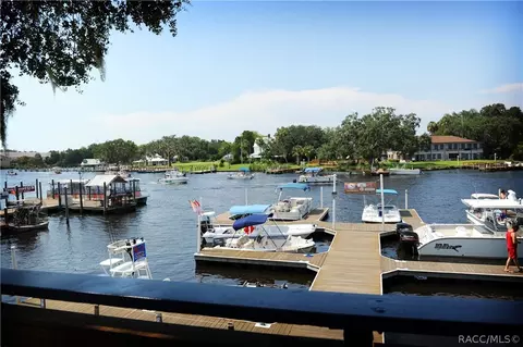 633 W Sunbird Path, Hernando, FL 34442 photo 43
