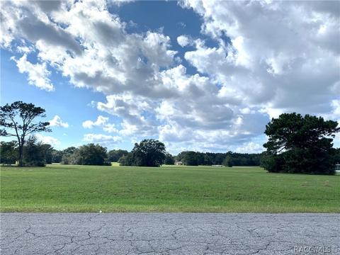 2956 N Anthony Ave, Hernando, FL 34442 photo 1