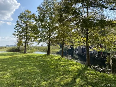 2809 N Wheaton Pt, Hernando, FL 34442 photo 21