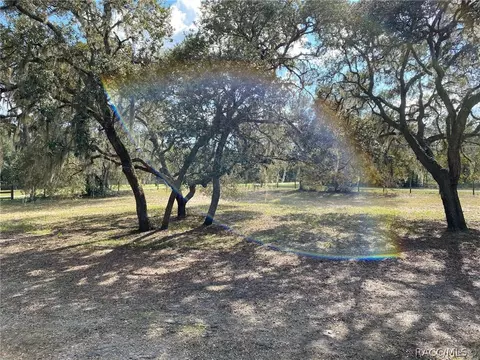 1589 E Winnetka St, Hernando, FL 34442 photo 23
