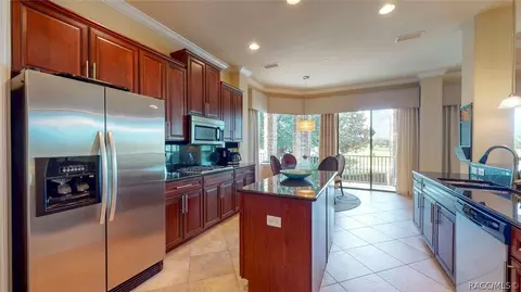 1127 W Pointe Vista Path, Hernando, FL 34442 photo 4